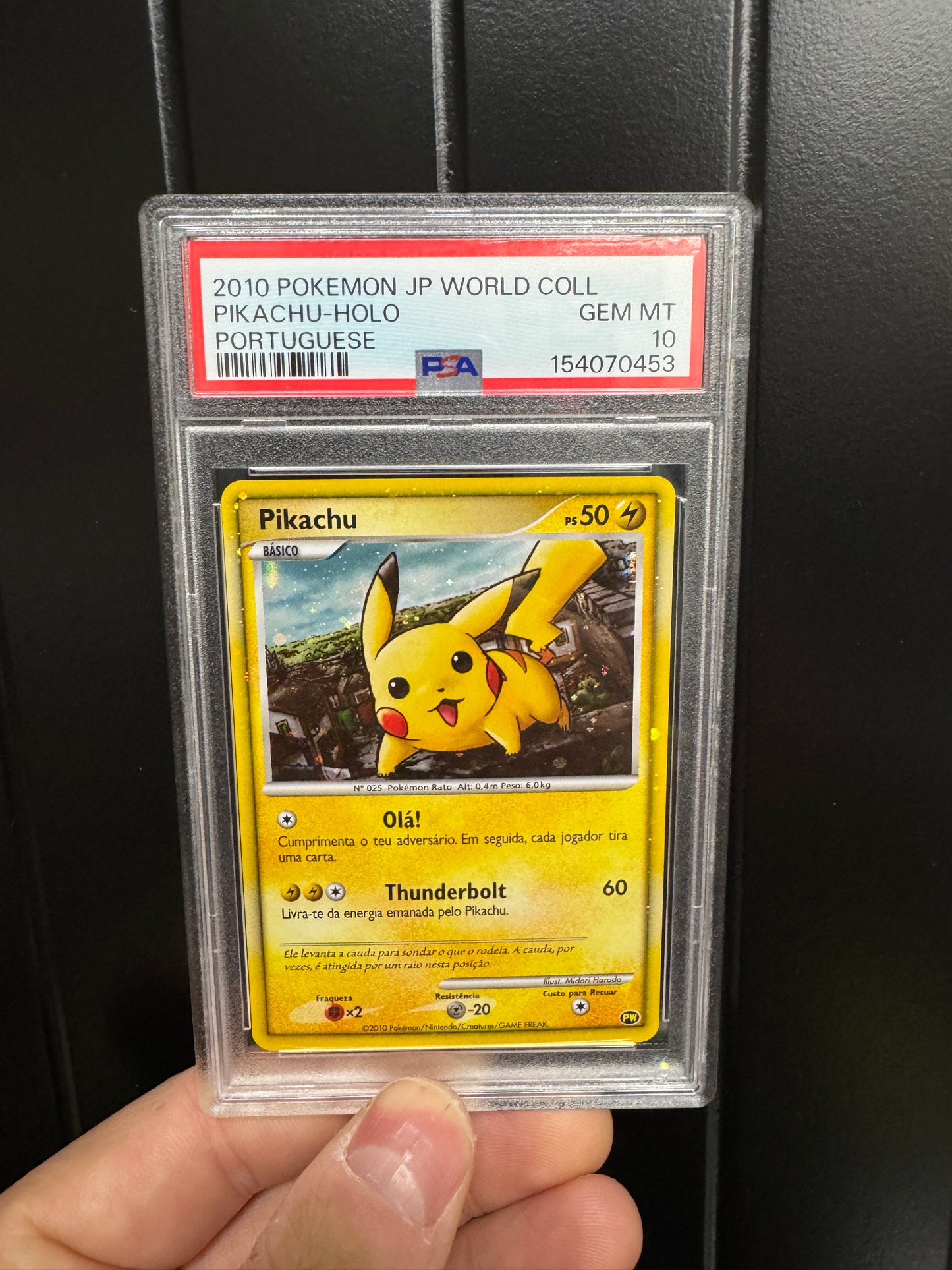 Pikachu World PG 10