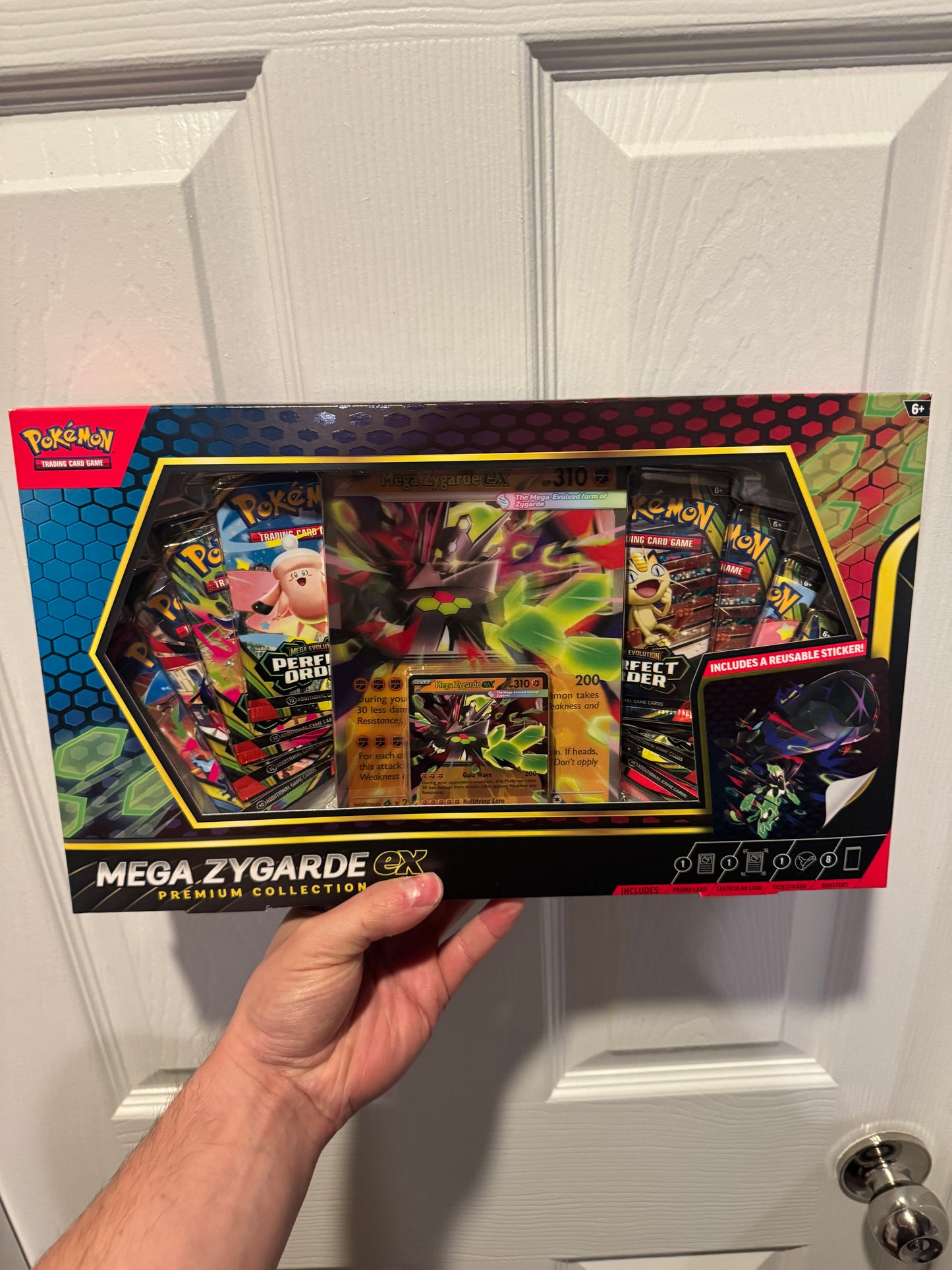 Mega Zygarde ex Box