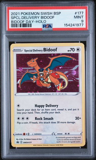 Bidoof Special Delivery 9