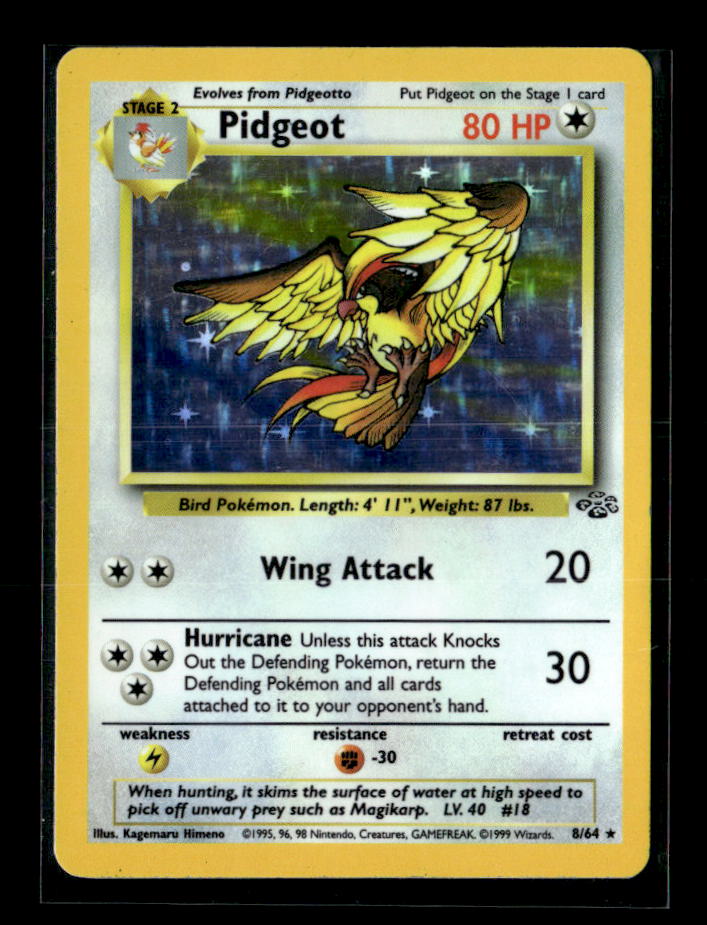 Pidgeot (8)