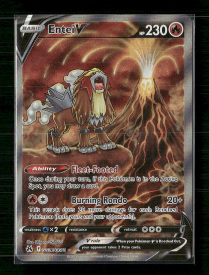 Entei V