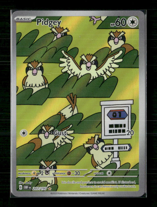 Pidgey - 207/197