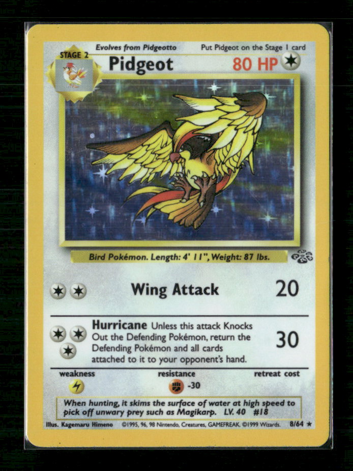 Pidgeot (8)