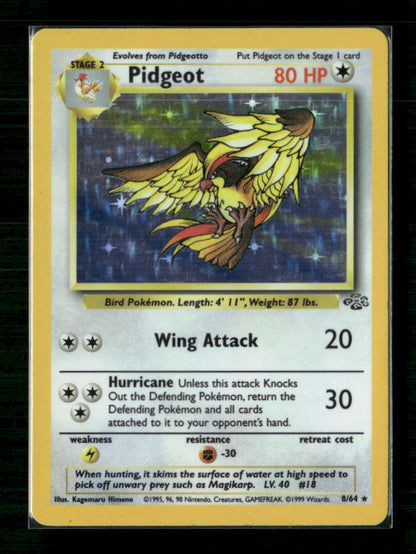 Pidgeot (8)